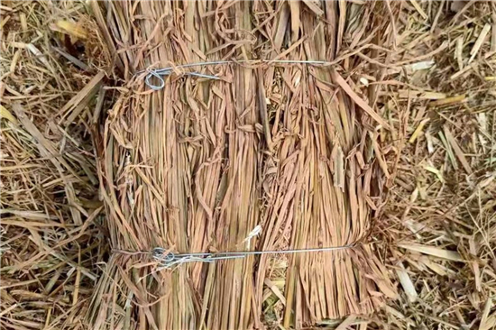防滑草支墊:鋼廠(chǎng)貨物運(yùn)輸?shù)牡昧χ? title=