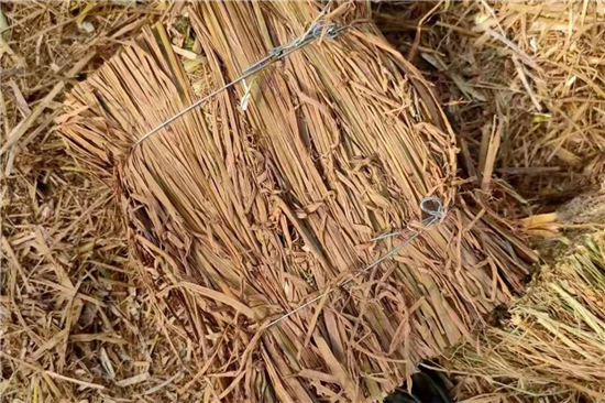 綠色防滑材料:凹型草支墊的優(yōu)勢與前景 綠色防滑材料:凹型草支墊的優(yōu)勢與前景