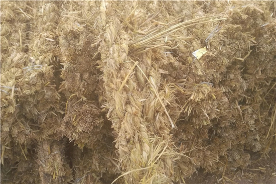 選購鋼廠草支墊:關(guān)注質(zhì)量與售后服務(wù) 選購鋼廠草支墊:關(guān)注質(zhì)量與售后服務(wù)