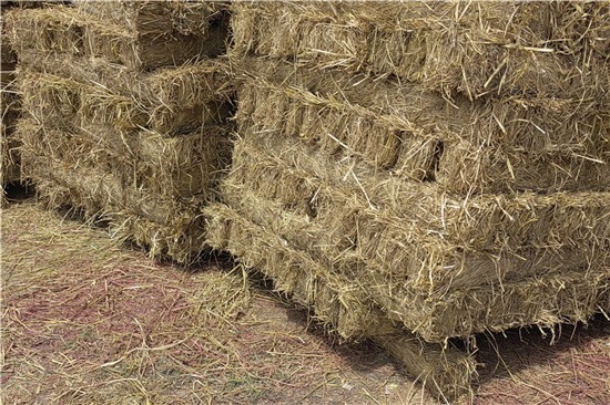 防滑草支墊在鋼廠鐵路裝載中的關鍵技術(防滑草繩捆扎方法) 防滑草支墊在鋼廠鐵路裝載中的關鍵技術(防滑草繩捆扎方法)