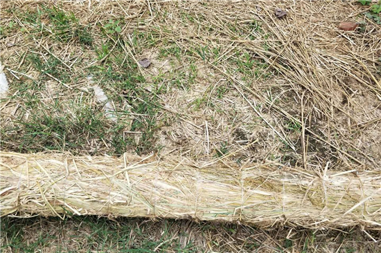 稻夫草支墊助力鐵路貨運(yùn)安全與環(huán)保(稻草墊子) 稻夫草支墊助力鐵路貨運(yùn)安全與環(huán)保(稻草墊子)
