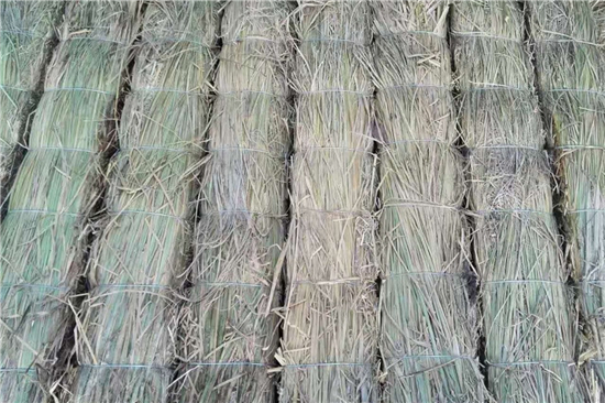鋼廠鐵路火車運輸防滑加固稻夫草支墊的關鍵作用(稻草墊一般鋪墊于貨物與車地板間) 鋼廠鐵路火車運輸防滑加固稻夫草支墊的關鍵作用(稻草墊一般鋪墊于貨物與車地板間)
