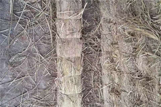 鋼廠鐵路裝載防滑草支墊的行業(yè)發(fā)展