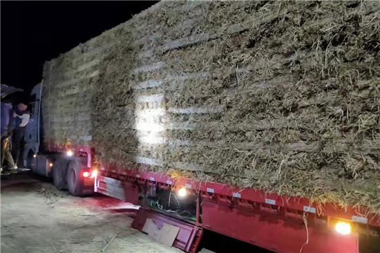 防滑草支墊廠家 鐵路鋼廠裝載安全的保障(下雪防滑草墊廠家) 防滑草支墊廠家 鐵路鋼廠裝載安全的保障(下雪防滑草墊廠家)