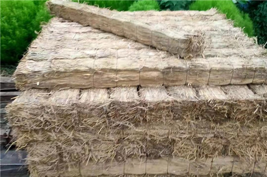 鋼廠鐵路運(yùn)輸防滑加固稻夫草支墊的國內(nèi)外發(fā)展現(xiàn)狀(稻夫草編制品廠) 鋼廠鐵路運(yùn)輸防滑加固稻夫草支墊的國內(nèi)外發(fā)展現(xiàn)狀(稻夫草編制品廠)