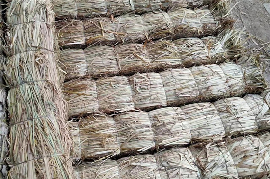 防滑草支墊在鋼廠鐵路裝載中的創(chuàng)新與實(shí)踐(防滑草繩捆扎方法) 防滑草支墊在鋼廠鐵路裝載中的創(chuàng)新與實(shí)踐(防滑草繩捆扎方法)