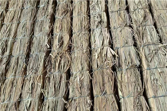 鐵路鋼廠裝載防滑草支墊的選購與保養(yǎng)(鐵路鋼廠裝載防滑草支墊的選購與保養(yǎng)方法) 鐵路鋼廠裝載防滑草支墊的選購與保養(yǎng)(鐵路鋼廠裝載防滑草支墊的選購與保養(yǎng)方法)