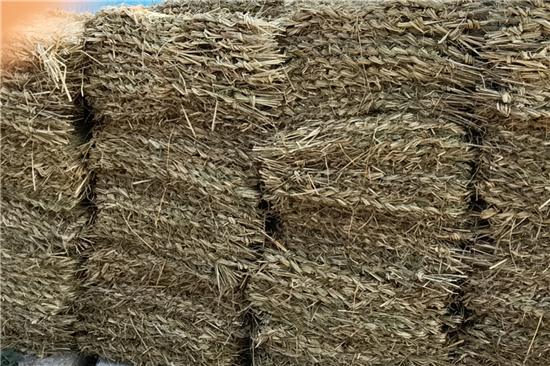 鋼廠鐵路裝載防滑草支墊的市場前景分析 鋼廠鐵路裝載防滑草支墊的市場前景分析