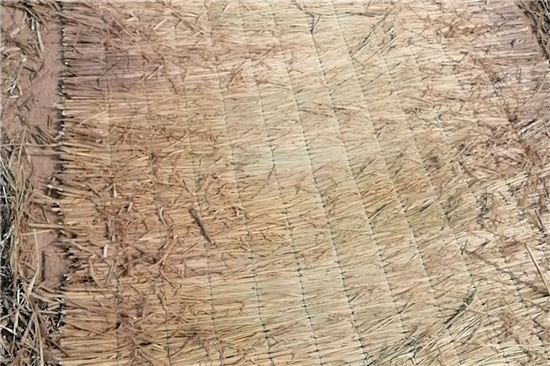 稻夫草支墊在鐵路貨運中的創(chuàng)新應(yīng)用與實踐 稻夫草支墊在鐵路貨運中的創(chuàng)新應(yīng)用與實踐